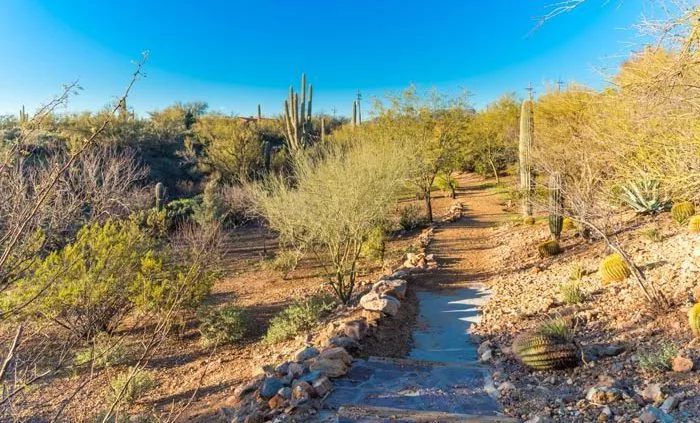 desert nature trail - Cottonwood Tucson behavioral health and addiction treatment