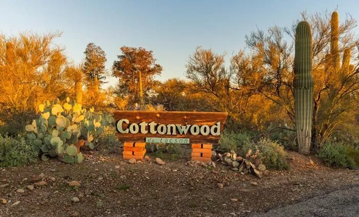 sign reading Cottonwood de Tucson - - Cottonwood Tucson holistic treatment for mood disorders and addiction