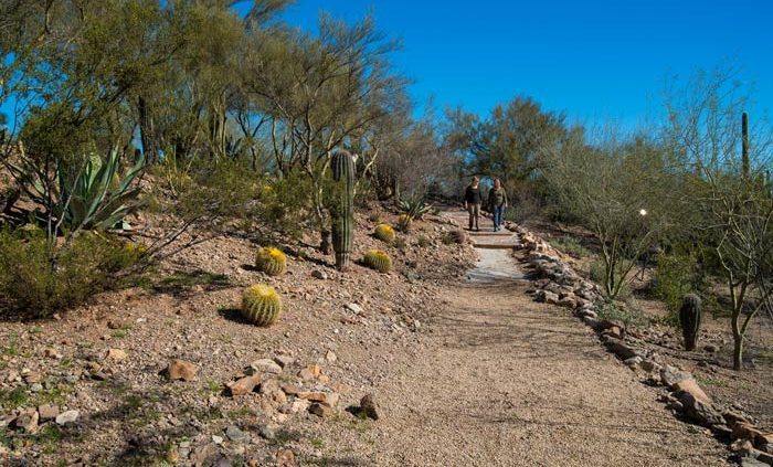 people walking on desert nature trail - Cottonwood Tucson behavioral health and addiction treatment