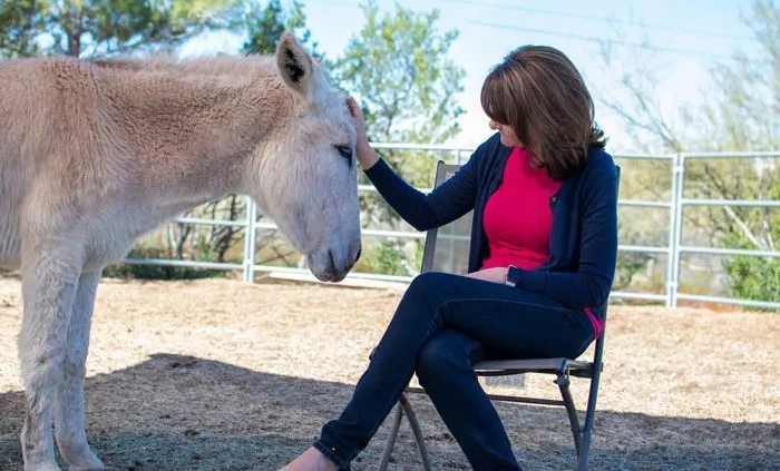 woman sitting and petting small horse - Cottonwood Tucson holistic treatment for mood disorders and addiction