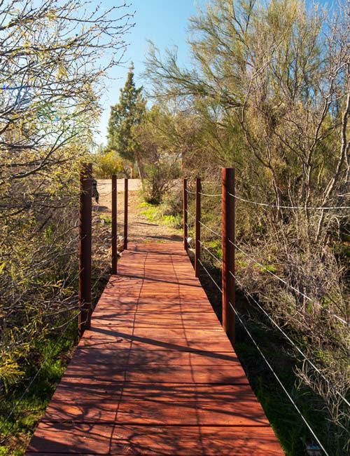 red wooden bridge on nature trail - Cottonwood Tucson behavioral health and addiction treatment