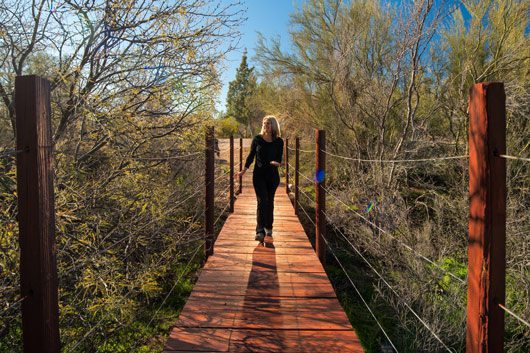 woman walking on wooden bridge